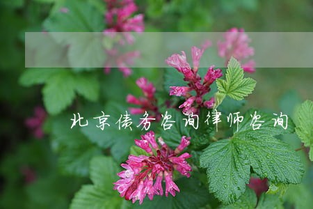 北京债务咨询律师咨询 北京债务咨询律师咨询