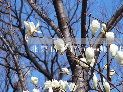 北京债务官司律师费用咨询 北京债务官司律师费用咨询