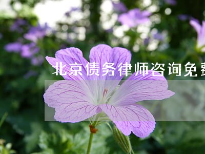 北京债务律师咨询免费 北京债务律师咨询免费