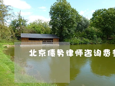 北京债务律师咨询费多少 北京债务律师咨询费多少