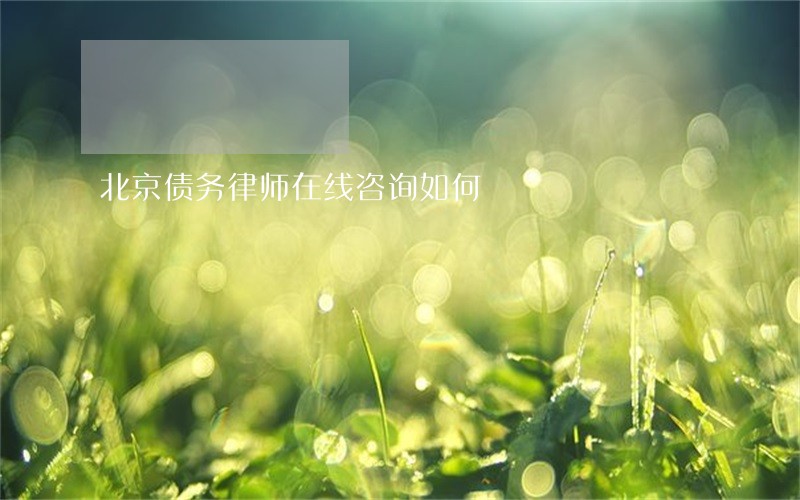 北京债务律师在线咨询如何 北京债务律师在线咨询如何