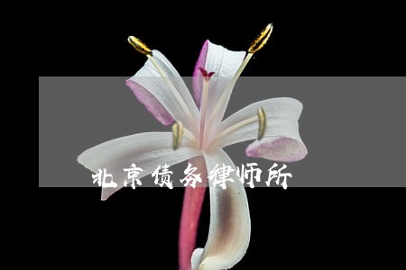北京债务律师所 北京债务律师所