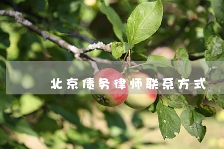 北京债务律师联系方式 北京债务律师联系方式