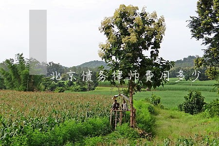 北京债务律师费用多少 北京债务律师费用多少