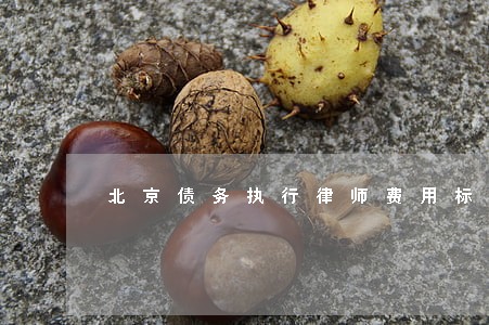 北京债务执行律师费用标准 北京债务执行律师费用标准