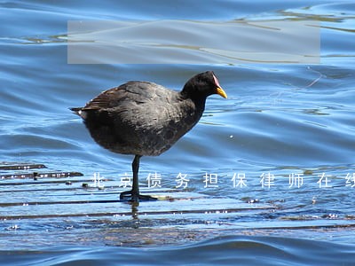 北京债务担保律师在线 北京债务担保律师在线