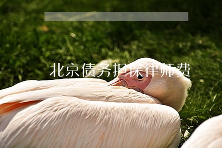 北京债务担保律师费 北京债务担保律师费
