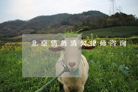 北京债务清欠律师咨询