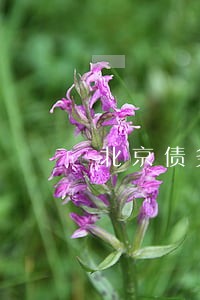 北京债务清欠律师团队 北京债务清欠律师团队