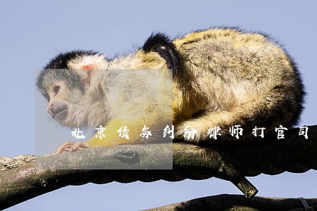 北京债务纠纷律师打官司不 北京债务纠纷律师打官司不