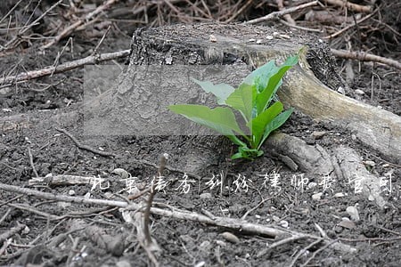 北京债务纠纷律师费官司 北京债务纠纷律师费官司