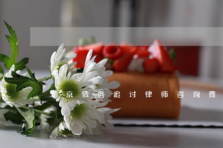 北京债务追讨律师咨询费 北京债务追讨律师咨询费