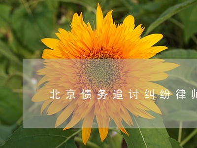 北京债务追讨纠纷律师咨询 北京债务追讨纠纷律师咨询
