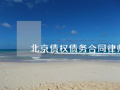 北京债权债务合同律师团队 北京债权债务合同律师团队