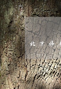 北京停车违法最高处罚1000元 北京停车违法最高处罚1000元