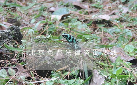 北京免费法律咨询热线 北京免费法律咨询热线