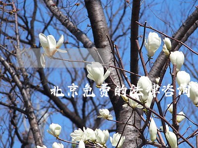 北京免费的法律咨询平台 北京免费的法律咨询平台