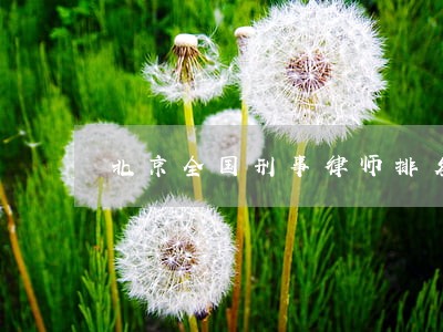 北京全国刑事律师排名 北京全国刑事律师排名