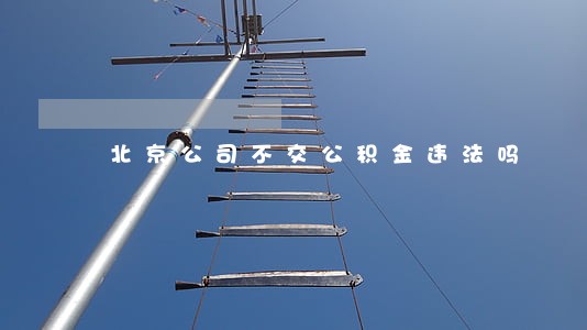 北京公司不交公积金违法吗 北京公司不交公积金违法吗