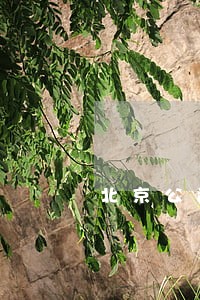 北京公司债务律师免费法律咨询 北京公司债务律师免费法律咨询