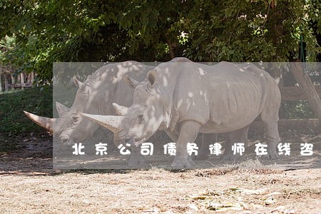北京公司债务律师在线咨询 北京公司债务律师在线咨询