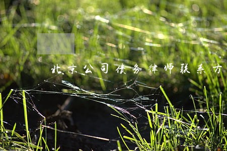 北京公司债务律师联系方式