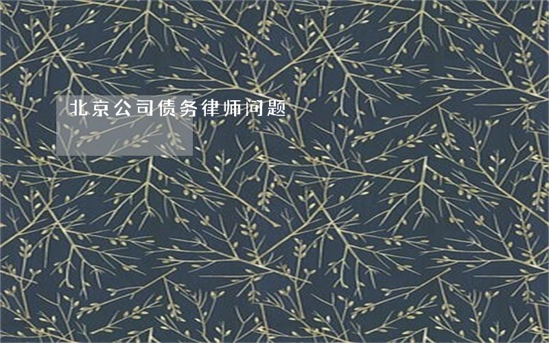 北京公司债务律师问题 北京公司债务律师问题