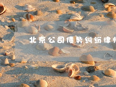 北京公司债务纠纷律师费用 北京公司债务纠纷律师费用