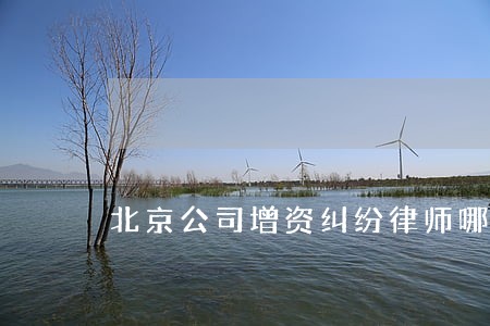 北京公司增资纠纷律师哪个好 北京公司增资纠纷律师哪个好