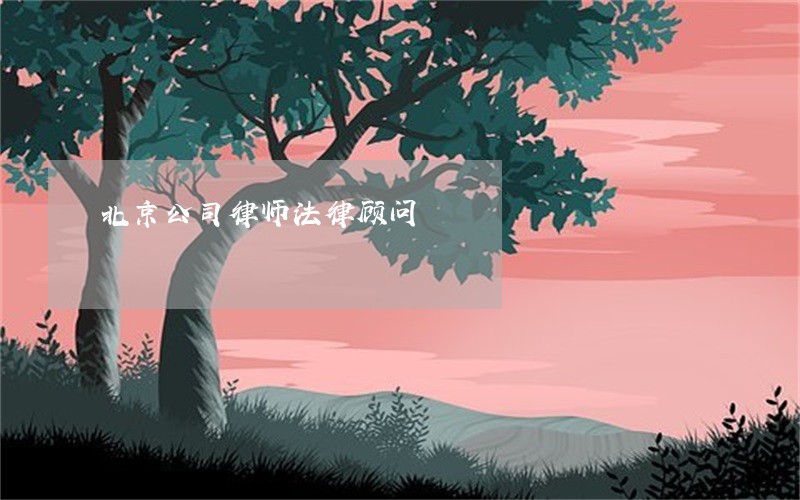 北京公司律师法律顾问 北京公司律师法律顾问