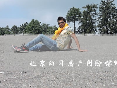 北京公司房产纠纷律师 北京公司房产纠纷律师