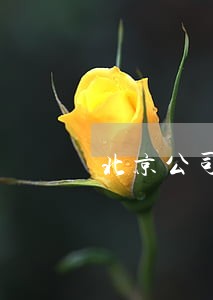 北京公司法务 北京公司法务