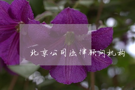 北京公司法律顾问机构 北京公司法律顾问机构