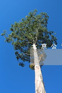 北京公司法律顾问预约 北京公司法律顾问预约