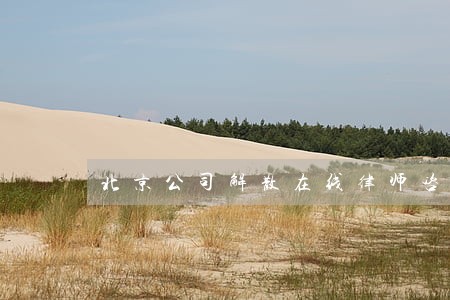 北京公司解散在线律师咨询 北京公司解散在线律师咨询