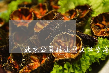 北京公司转让网法律咨询 北京公司转让网法律咨询