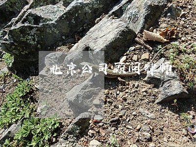 北京公司顾问律师 北京公司顾问律师