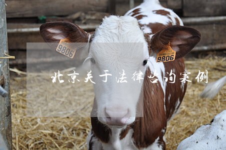 北京关于法律咨询案例 北京关于法律咨询案例