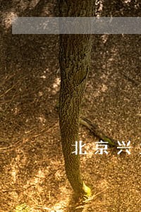 北京兴业银行逾期三个月 北京兴业银行逾期三个月