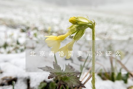 北京再婚需要离婚证么 北京再婚需要离婚证么