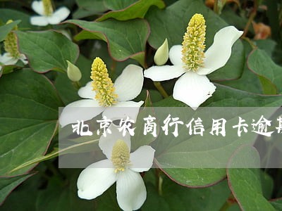 北京农商行信用卡逾期数据异常 北京农商行信用卡逾期数据异常