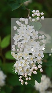 北京农商银行信用卡逾期还款 北京农商银行信用卡逾期还款