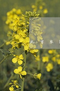 北京农民工法律援助电话 北京农民工法律援助电话