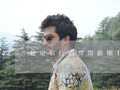 北京农行消费贷逾期1天 北京农行消费贷逾期1天