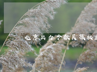 北京出台少数民族权益保障条例 北京出台少数民族权益保障条例