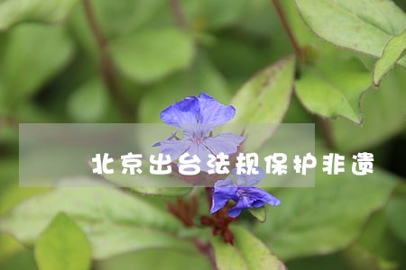 北京出台法规保护非遗 北京出台法规保护非遗