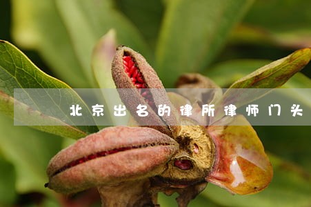 北京出名的律所律师门头沟 北京出名的律所律师门头沟