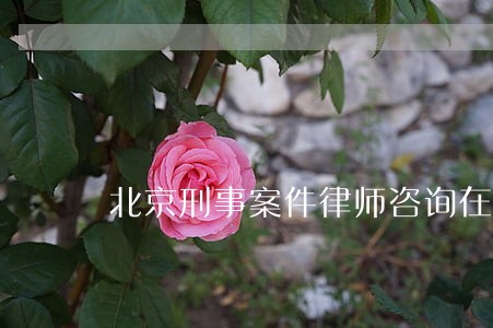 北京刑事案件律师咨询在线咨询
