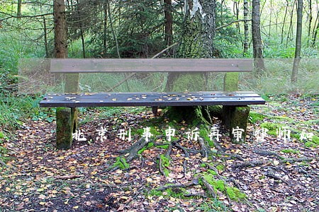 北京刑事申诉再审律师如何委托
