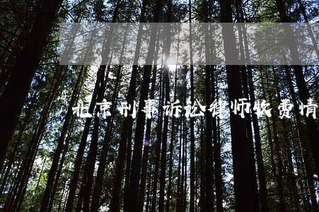 北京刑事诉讼律师收费情况 北京刑事诉讼律师收费情况